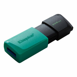 Memoria USB  Kingston Technology DTXM/256GB